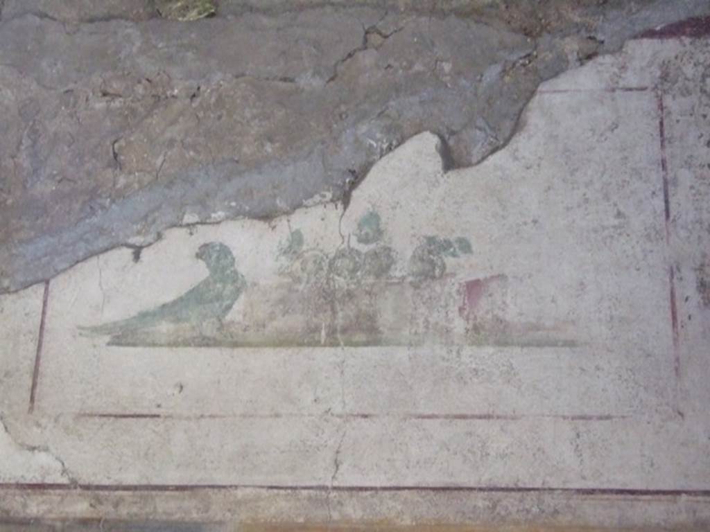 II.1.12 Pompeii.  March 2009.  Triclinium.  North wall.  Upper section. Wall painting  a Parrot and fruit.