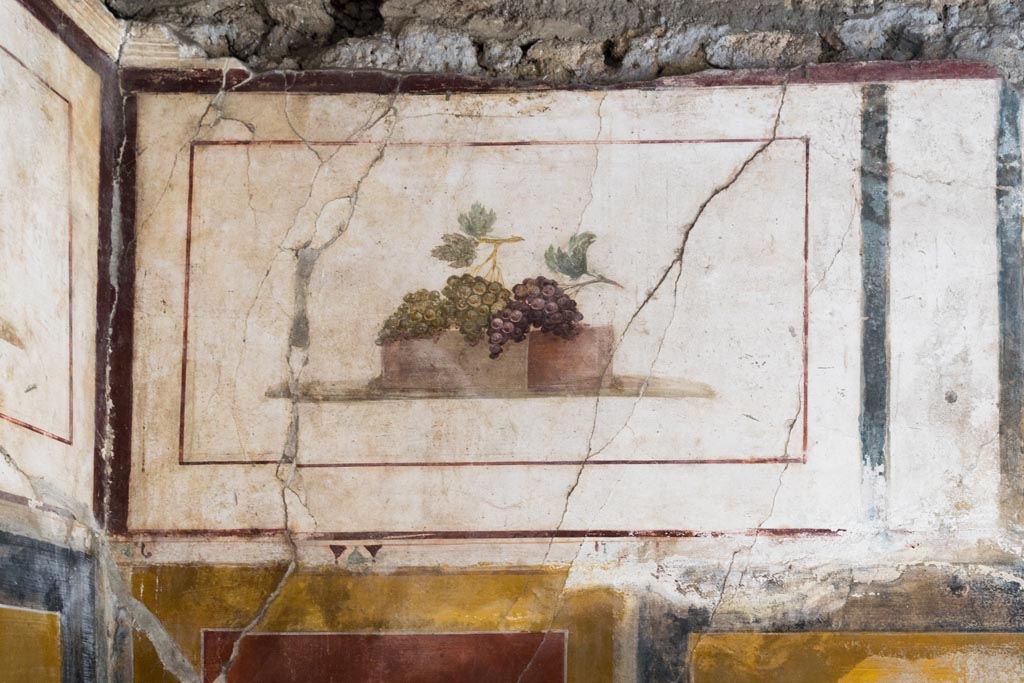 II.1.12 Pompeii. July 2021. 
Triclinium, upper section of north wall at west end. Painted panel of bunches of grapes. Photo courtesy of Johannes Eber.
