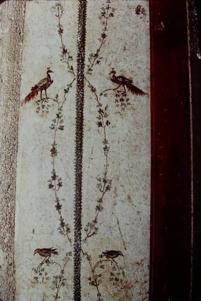 II.2.2 Pompeii. 1968. Room “f”, detail of painted decoration from west side of doorway in north wall. Photo by Stanley A. Jashemski.   
Source: The Wilhelmina and Stanley A. Jashemski archive in the University of Maryland Library, Special Collections (See collection page) and made available under the Creative Commons Attribution-Non Commercial License v.4. See Licence and use details. J74f0227 

