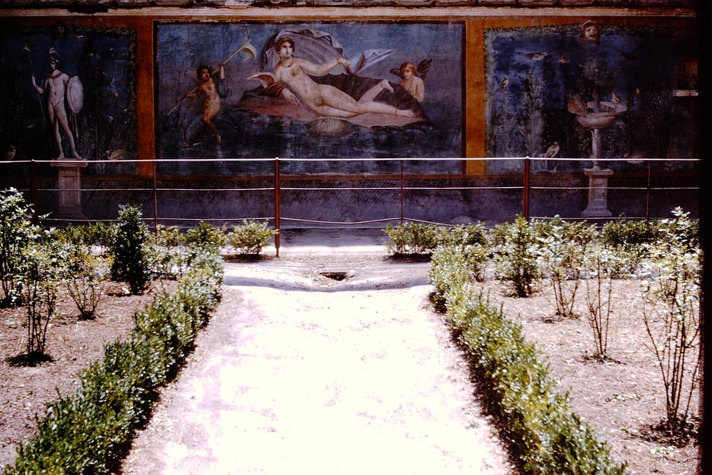 II.3.3 Pompeii. 1964. Looking towards painted south wall in garden. Photo by Stanley A. Jashemski.
Source: The Wilhelmina and Stanley A. Jashemski archive in the University of Maryland Library, Special Collections (See collection page) and made available under the Creative Commons Attribution-Non-Commercial License v.4. See Licence and use details.
J64f1698
