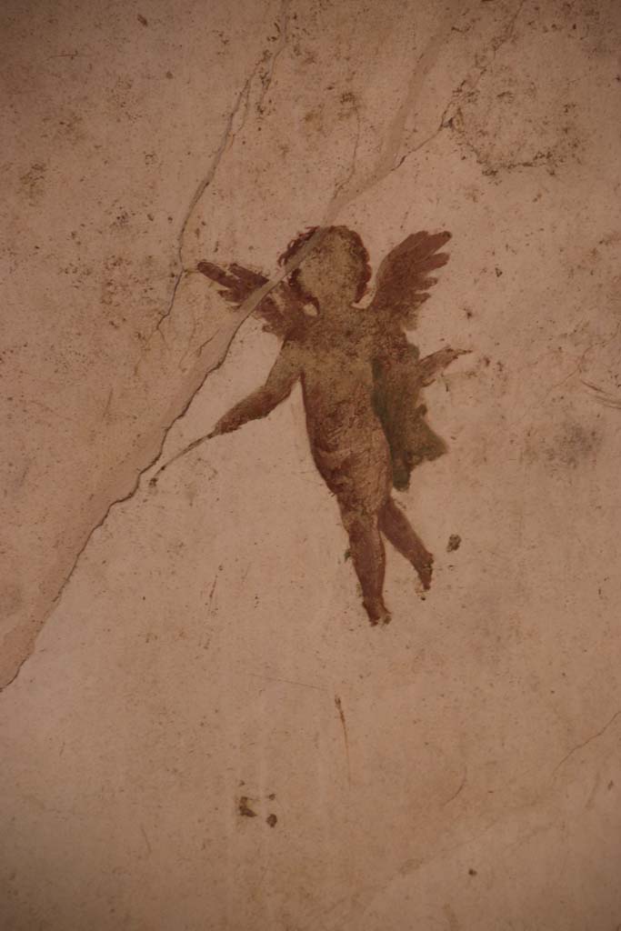 II.3.3 Pompeii. September 2017. 
Room 4, detail of flying cherub/cupid from west end of south wall. Photo courtesy of Klaus Heese.
