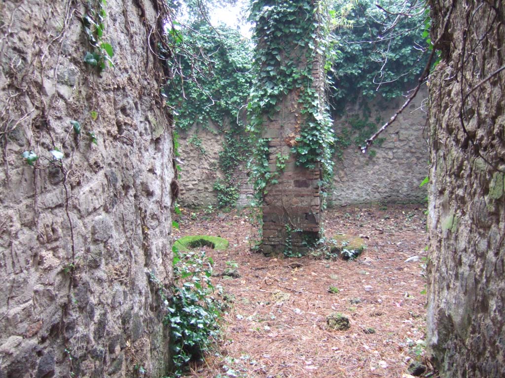 II.3.8 Pompeii. December 2005. Looking north from entrance corridor.