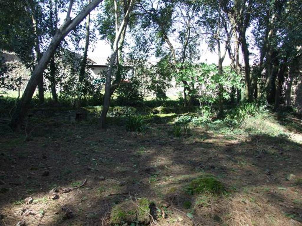 II.3.9 Pompeii.  March 2009. Looking north from entrance across garden, with the Sarno Canal.