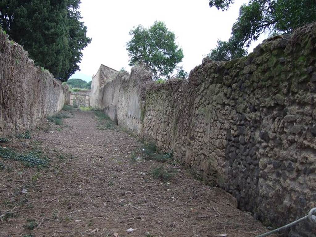 II.2 Pompeii. December 2006. Vicolo della Venere,looking north.  Side wall of II.3.9