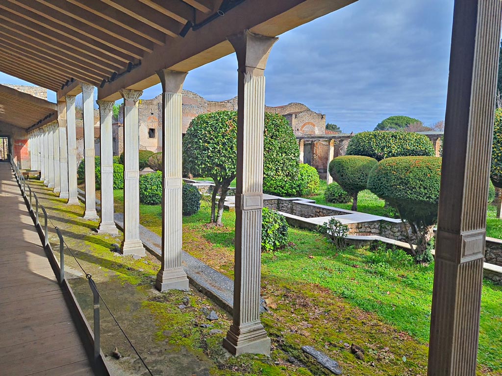 II.4.6 Pompeii. March 2024. 
Looking north along west portico and across peristyle garden, from its southern end. Photo courtesy of Giuseppe Ciaramella.
