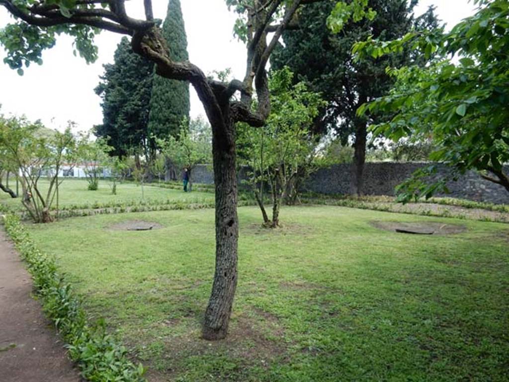 II.4.9 Pompeii. May 2016. Looking towards north-east side of garden area. Photo courtesy of Buzz Ferebee.