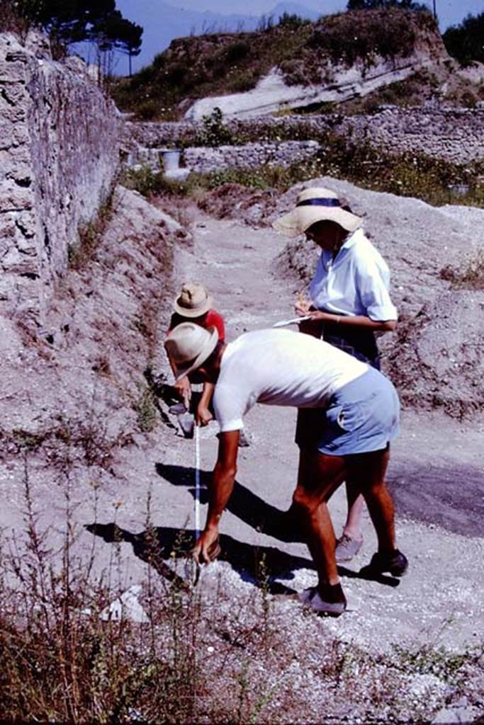 II.5 Pompeii. 1966. Looking north, measuring and recording along the row of small root cavities found near the east wall. Photo by Stanley A. Jashemski.
Source: The Wilhelmina and Stanley A. Jashemski archive in the University of Maryland Library, Special Collections (See collection page) and made available under the Creative Commons Attribution-Non Commercial License v.4. See Licence and use details.
J66f1066
