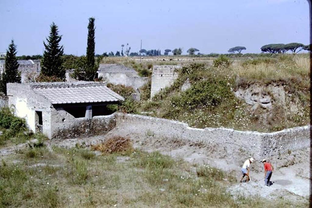 II.5 Pompeii. 1966. 
North-west corner, looking west along south wall of unexcavated structure, where another row of small cavities were found. 
Photo by Stanley A. Jashemski.
Source: The Wilhelmina and Stanley A. Jashemski archive in the University of Maryland Library, Special Collections (See collection page) and made available under the Creative Commons Attribution-Non Commercial License v.4. See Licence and use details.
J66f1120
