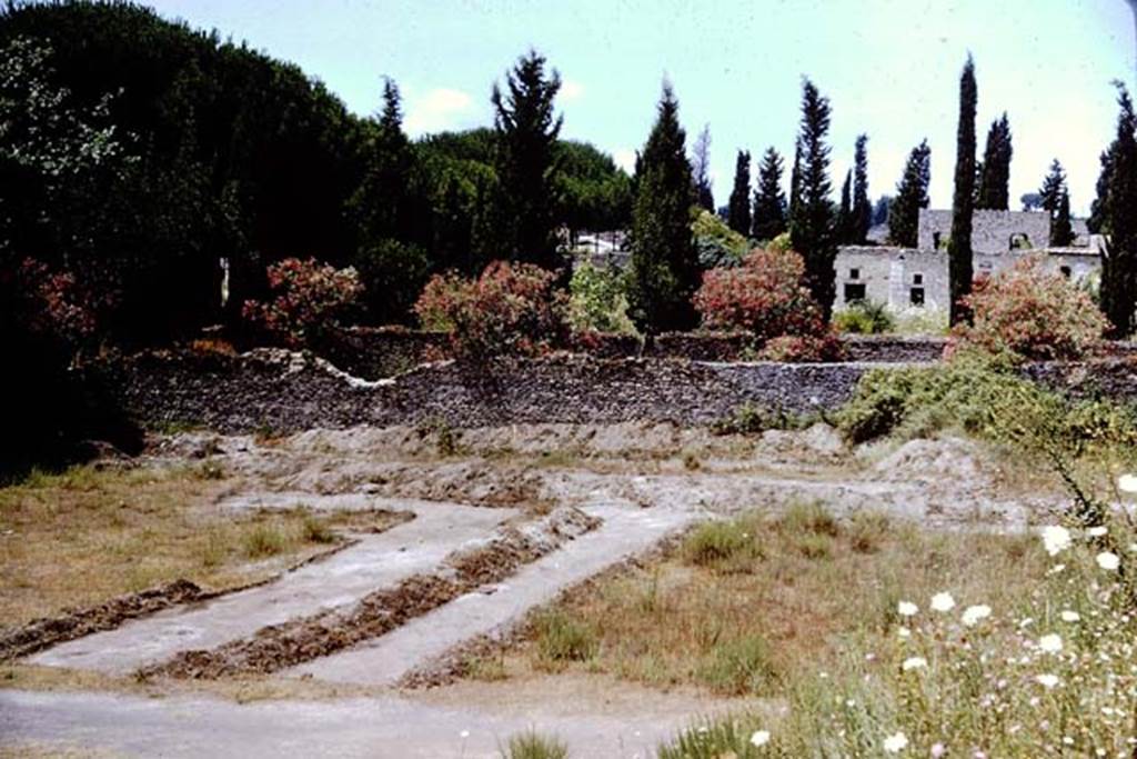 II.5 Pompeii. 1966. Looking towards the west wall, trenches were dug out into the centre of the insula, in line with the root cavities found around the edges. However results were disappointing as the soil was very compacted and nothing was preserved below it. Another trench was tried but only three small root cavities were found, and so it was felt that too much time and money was being spent for the few root cavities that had been found. These roots did not disprove the theory that this had been the cattle-market. Reluctantly Wilhelmina agreed, and temporarily abandoned this site for other gardens. When they had been finished those, she persuaded the authorities to continue with the search here, as nothing else would be as important as proving or disproving the cattle-market theory. 
Photo by Stanley A. Jashemski.
Source: The Wilhelmina and Stanley A. Jashemski archive in the University of Maryland Library, Special Collections (See collection page) and made available under the Creative Commons Attribution-Non Commercial License v.4. See Licence and use details.
J66f0606

