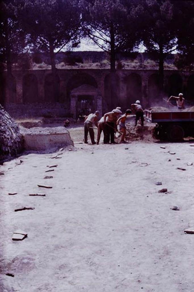II.5 Pompeii. 1970. Looking south from near end of retaining wall. Photo by Stanley A. Jashemski.
Source: The Wilhelmina and Stanley A. Jashemski archive in the University of Maryland Library, Special Collections (See collection page) and made available under the Creative Commons Attribution-Non Commercial License v.4. See Licence and use details.
J70f0650
