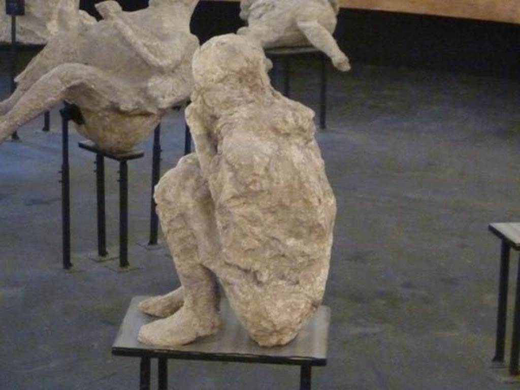 II.7.1 Pompeii. Palaestra. September 2015. On display as an exhibit in the Summer 2015 exhibition in the amphitheatre. When this body was cast, he was found to be tipped forwards, huddled up and bent double on his knees, when restored he was placed in this position. 
See Stefani, G. (2010). The Casts, exhibition at Boscoreale Antiquarium, 2010. (p.10)

