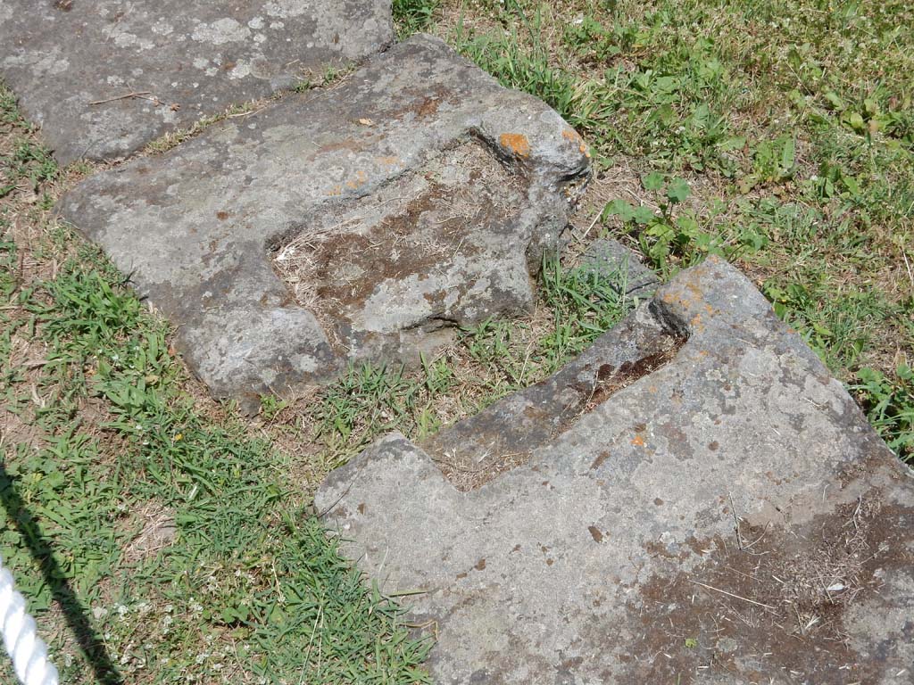 II.7 Pompeii. June 2019. Edge of pool in north-west corner. Photo courtesy of Buzz Ferebee.
Here was the sluice gate that controlled the water from the aqueduct.
According to NdS, "at the time of the eruption, this grandiose natatio was not in working order: one essential condition was missing: a water supply. The feeder canal was cut off and avulsed up to the height of its castellum aquae on the Via dell'Abbondanza; the pipework of the overflow canal was cut off; the shaft of the closing sluice gate was being restored or transformed; the whirlwind of lapilli that spilled into the vast area of the Palestra filled an empty and dried-up basin. This is further clear evidence of the serious disorder in which the city's water supply was at the time of the eruption, due, as we have surmised in our other exploration(s), to the complex renovation that Pompeii was carrying out of its urban aqueduct after the severe damage caused by the earthquake".
See Notizie degli Scavi di Antichità, 1939, p. 189-190.
