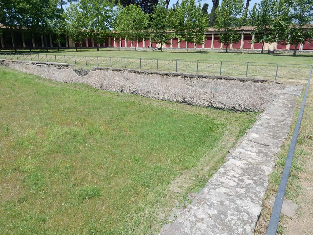 II.7 Pompeii. June 2019. Looking towards north side from east side of pool. Photo courtesy of Buzz Ferebee.