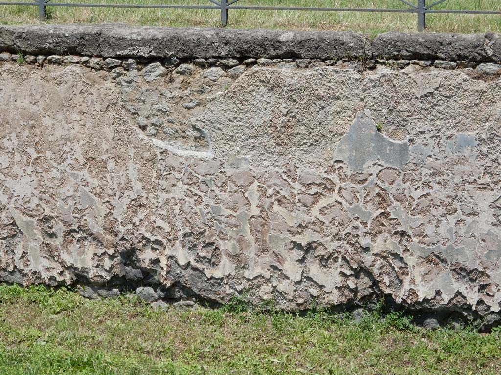 II.7 Pompeii. June 2019. Detail from north wall in north-east corner. Photo courtesy of Buzz Ferebee.