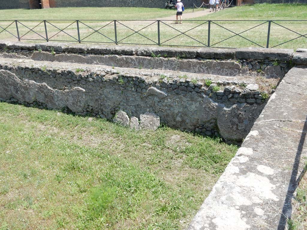 II.7 Pompeii. June 2019. Looking north along east side of pool, from south side. Photo courtesy of Buzz Ferebee.