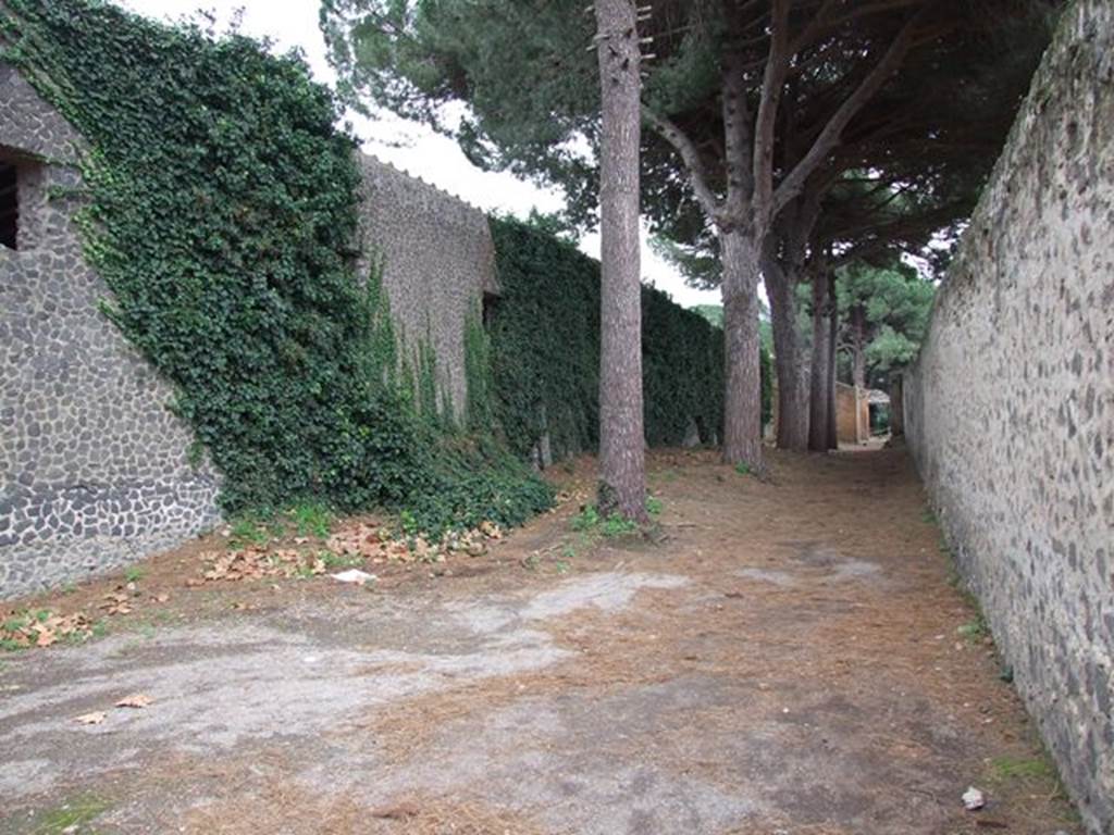 II.7.8 Pompeii. Palaestra. December 2006. Wall on left between II.7.8 and II.7.9.