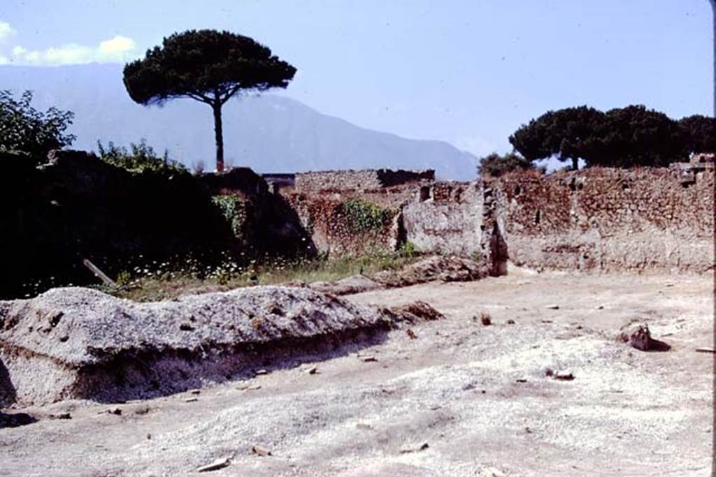 II.8.6 Pompeii. 1972. Looking towards south-west corner of garden area. Photo by Stanley A. Jashemski. 
Source: The Wilhelmina and Stanley A. Jashemski archive in the University of Maryland Library, Special Collections (See collection page) and made available under the Creative Commons Attribution-Non Commercial License v.4. See Licence and use details. J72f0674
