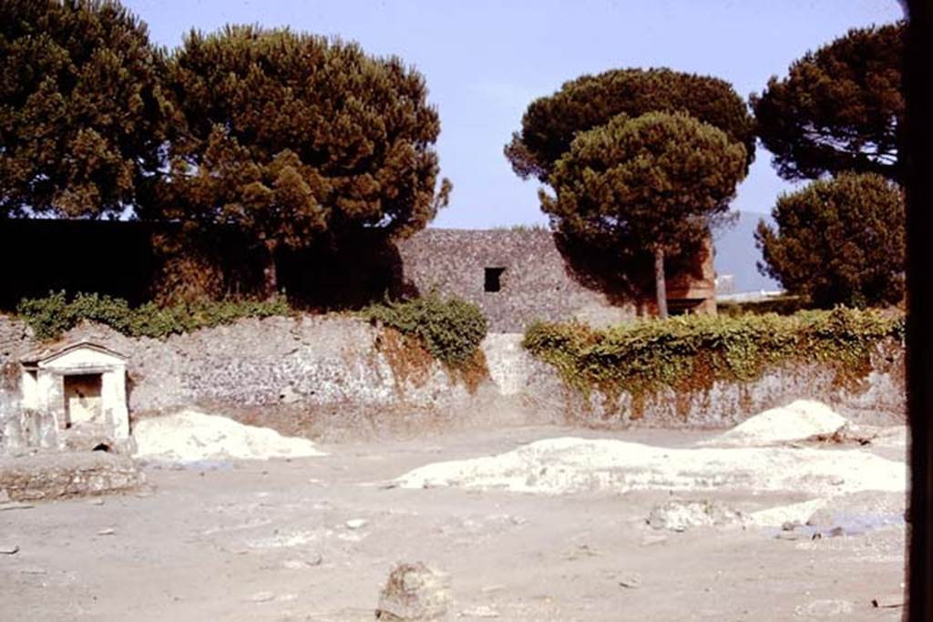 II.8.6 Pompeii, 1973. Looking towards south-east corner. Photo by Stanley A. Jashemski. 
Source: The Wilhelmina and Stanley A. Jashemski archive in the University of Maryland Library, Special Collections (See collection page) and made available under the Creative Commons Attribution-Non Commercial License v.4. See Licence and use details. J73f0286
