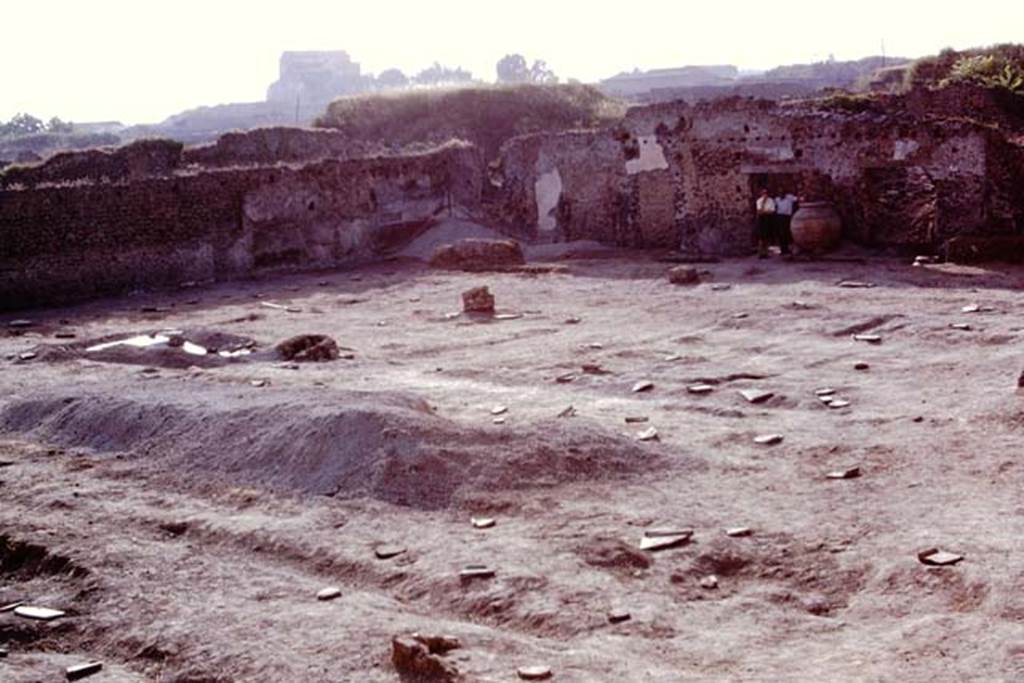 II.8.6 Pompeii, 1973. Looking towards north-west corner. Photo by Stanley A. Jashemski. 
Source: The Wilhelmina and Stanley A. Jashemski archive in the University of Maryland Library, Special Collections (See collection page) and made available under the Creative Commons Attribution-Non Commercial License v.4. See Licence and use details. J73f0287
