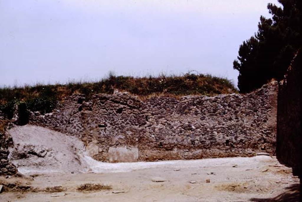 II.8.6 Pompeii, 1973. Looking north in north-east corner of garden area, the north wall has now been cleared and a buried dolium is visible, on the right. Photo by Stanley A. Jashemski. 
Source: The Wilhelmina and Stanley A. Jashemski archive in the University of Maryland Library, Special Collections (See collection page) and made available under the Creative Commons Attribution-Non Commercial License v.4. See Licence and use details. J73f0336
