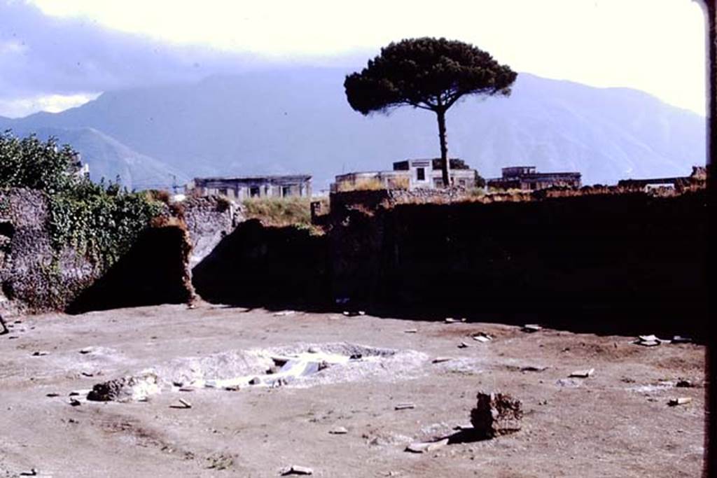 II.8.6 Pompeii, 1973. Looking towards the south-west. Photo by Stanley A. Jashemski. 
Source: The Wilhelmina and Stanley A. Jashemski archive in the University of Maryland Library, Special Collections (See collection page) and made available under the Creative Commons Attribution-Non Commercial License v.4. See Licence and use details. J73f0468
