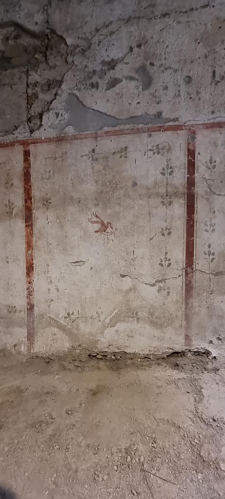 II.9.3, Pompeii. December 2023.
Room 14, painted winged creature from panel on north wall. 
Photo courtesy of Miriam Colomer.
