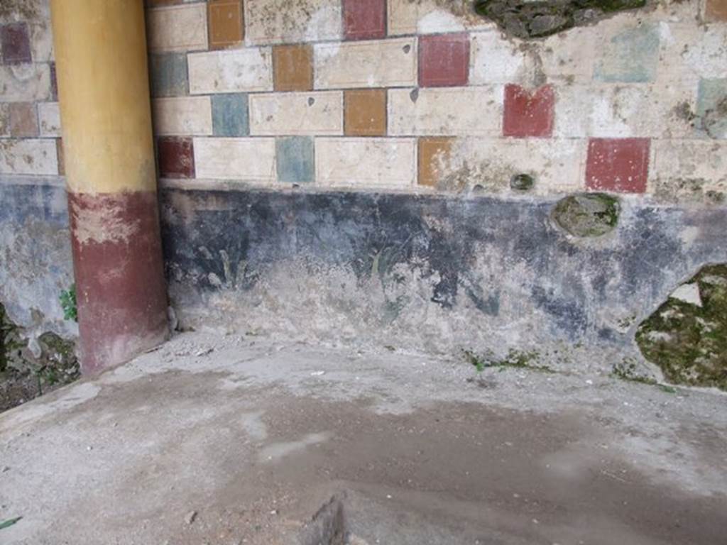 III.2.1 Pompeii.  March 2009.  Room 20. Summer Triclinium.  North wall with remains of painted plants, and painted wall of red, yellow and blue squares.
