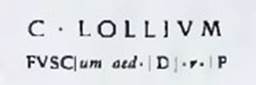 Inscription in black letters to CAIUM LOLLIUM FUSCUM.
The Epigraphik-Datenbank Clauss/Slaby (See www.manfredclauss.de) has

C(aium) Lollium / Fusc[um aed(ilem)] d(ignum) [r(ei)] p(ublicae)      [CIL IV, 7662]
