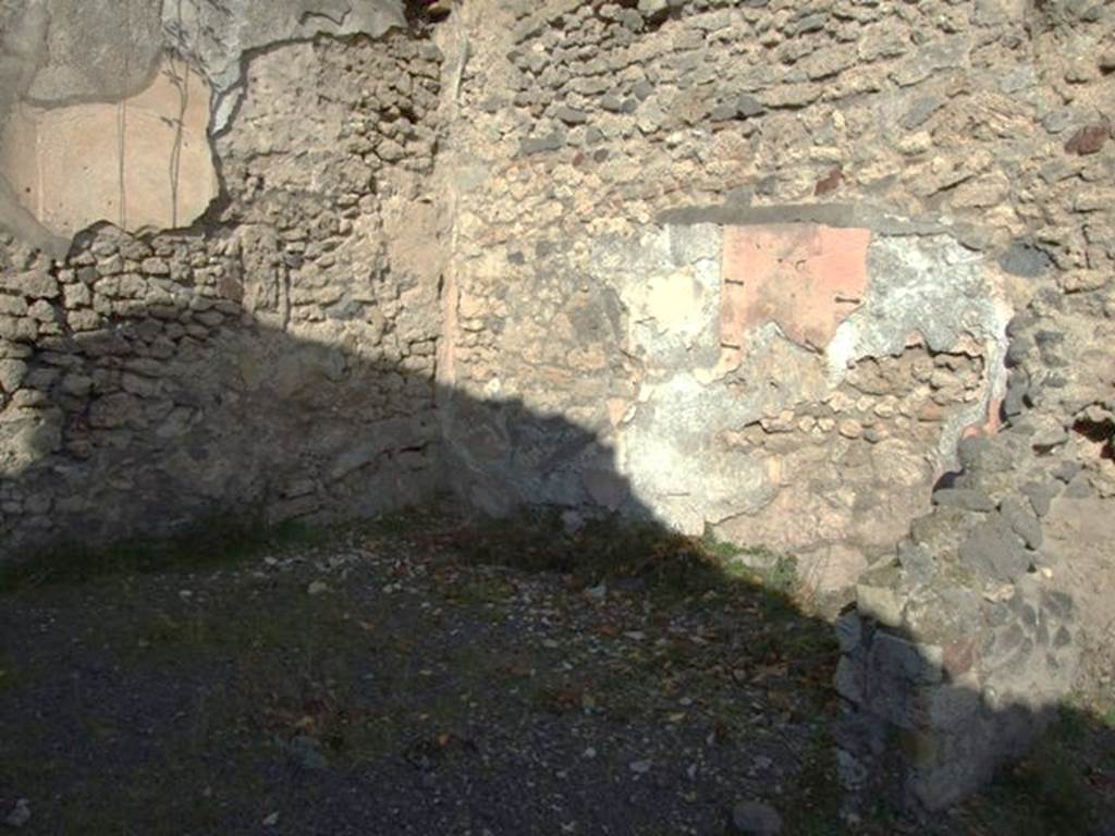 V.2.19 Pompeii. December 2007. East wall, with north-east corner of rear room.  
According to NdS, on the east wall of the rear room a painted landscape was seen (1.05 high x 0.93 wide) (Bull. p.275 and following).
The usual shrine was seen with its relative sacred tree by a river; in the shrine – a female idol was recognisable.
On each of the two bases flanking the steps of the shrine stood a herm, as it seems.
Before the temple was an altar decorated with garlands on which were placed two oars (two torches according to Mau), towards the right was the figure of a praying woman. In the river, which Mau had seen less clearly, seven boats were able to be seen with sufficient certainty, painted with a glimpse, in one of which were two rowers in clear tunics and with low hats on their heads. 
The painting of the landscape was damaged in the lower left corner.
See Notizie degli Scavi di Antichità, 1891, p. 271-2.
 