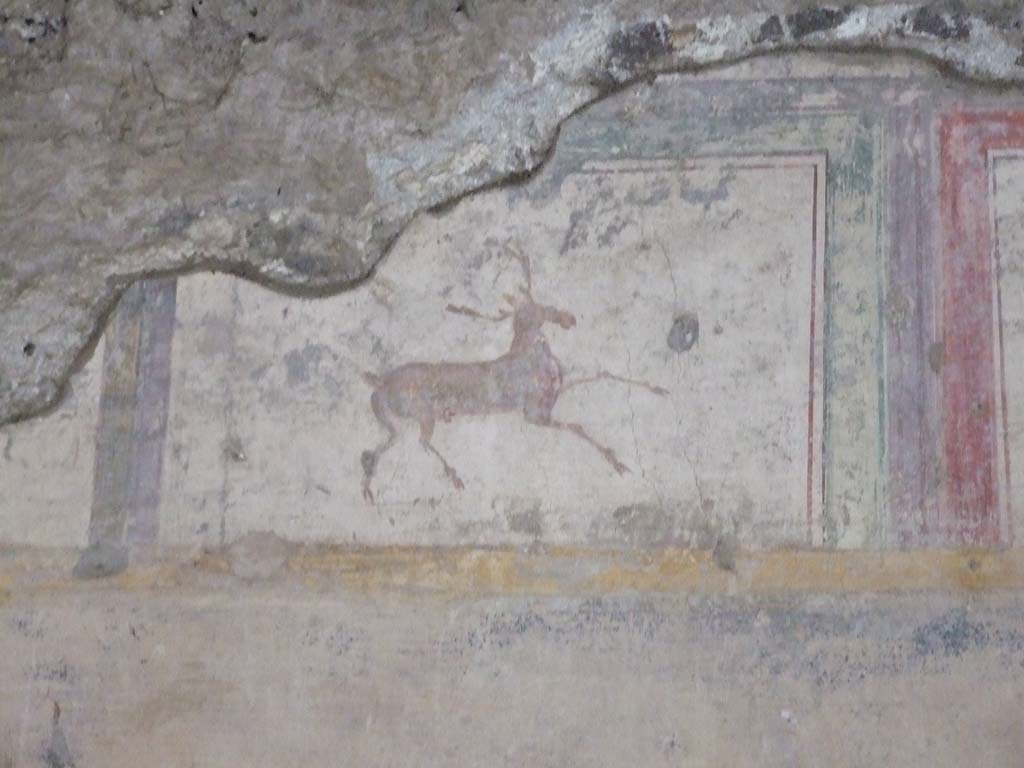 V.2.i Pompeii. December 2007. Room 23, painted stag on south side of Rhodian peristyle.  