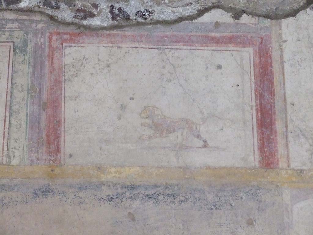 V.2.i Pompeii. December 2007. Room 23, painted lion on south side of Rhodian peristyle.  