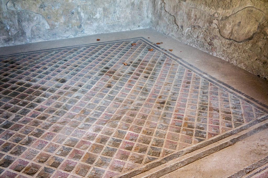 V.2.i Pompeii. August 2023. Room 24, looking north-east across flooring. Photo courtesy of Johannes Eber.