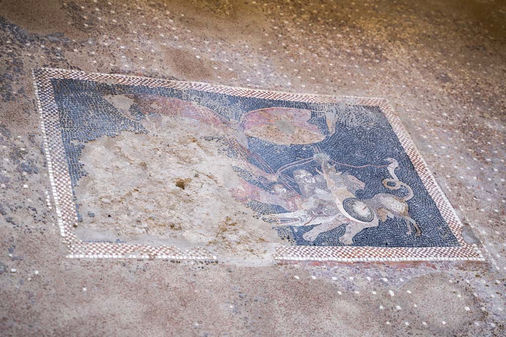 V.2, Pompeii. Casa di Orione. October 2021. Room 6, floor mosaic with panther. Photo courtesy of Johannes Eber.