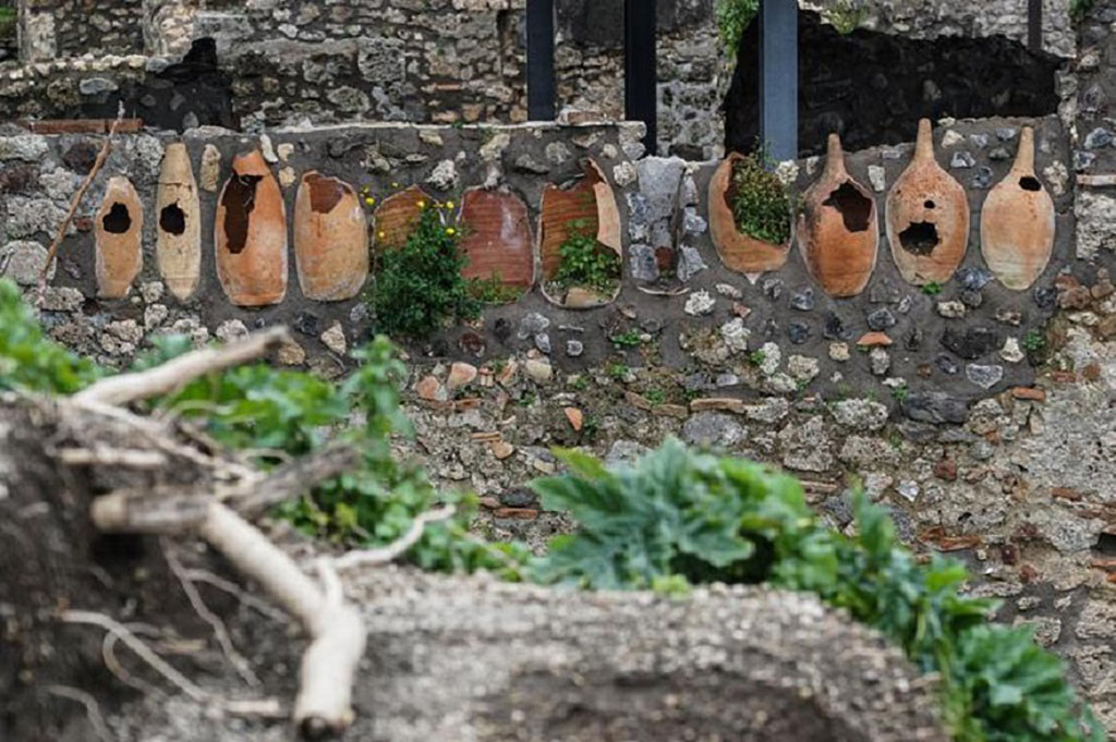 V.3 Pompeii. March 2018. Found in a corner of the garden during the works were a series of amphorae set into the wall. 
Photograph © Parco Archeologico di Pompei.

