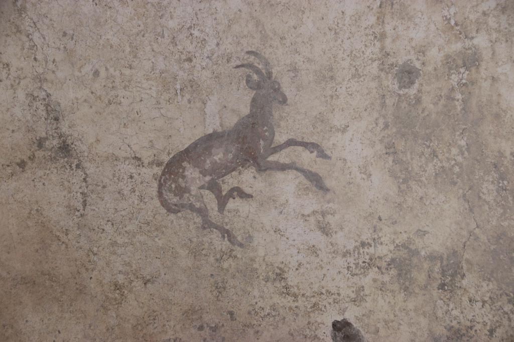 V.3 Pompeii. Casa del Giardino. October 2022.  
Room 7, detail of painted goat from east end of south wall. Photo courtesy of Klaus Heese.
