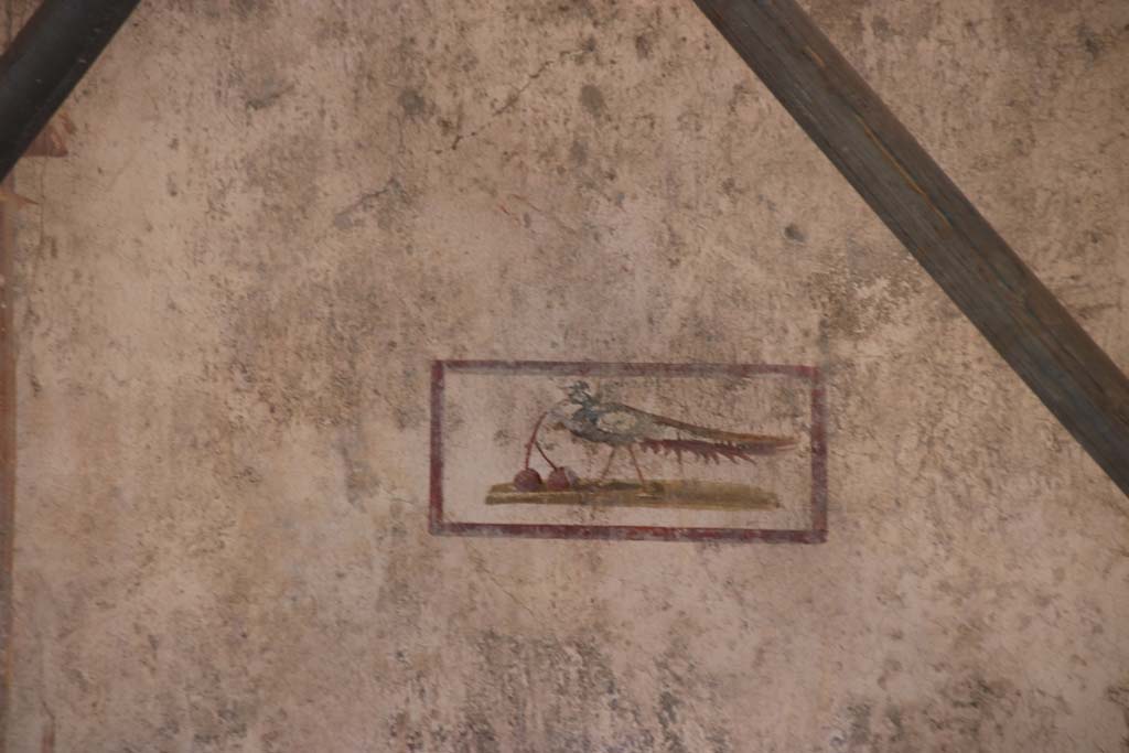 V.3 Pompeii. Casa del Giardino. September 2021. 
Room 7, detail of painted panel with bird with cherries from the centre of the west wall. Photo courtesy of Klaus Heese.

