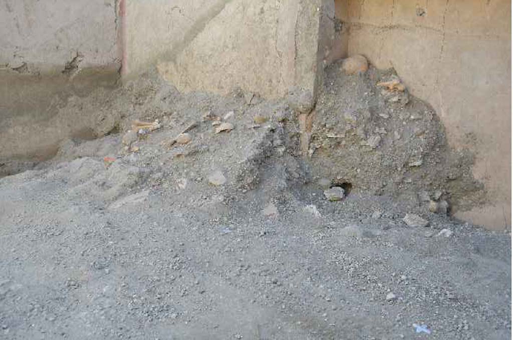 V.3 Pompeii. Casa del Giardino. 2018. Ambiente 8. Remains of skeletons of five victims.

Ambiente 8. Resti di scheletri di cinque vittime.

Photograph © Parco Archeologico di Pompei.
