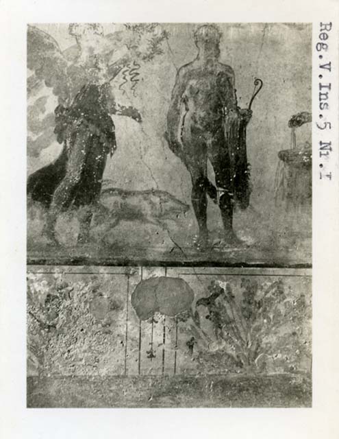 V.4.3 Pompeii. c.1930s. Lararium painting from west wall of atrium.
Hercules with club and lion skin is in the centre. 
Also recognisable on the left was Mercury and next to Mercury was a crowing cock.
From left to right were an omphalos with a snake, Victoria with spread wings, a pig, Hercules and Minerva sacrificing at an altar, with her shield and owl.
At the sides of the niche were paintings of the gods.
To the right of the niche was Fortuna but only the head with a small modius and the cornucopia against her left shoulder were visible.
To the left of the niche was Venus Pompeiana dressed in green, her left arm on the steering rudder and an olive branch in her right hand. Amor with a mirror stands to the left, on a base.
Outside the aedicula to the right is Jupiter seated on a throne with his head leaning on his left hand. A sceptre rests on his left shoulder and the thunderbolt is in his right hand.
On the left outside the aedicula is Bacchus with a thyrsus in his left hand and a kantharos in his right pouring wine into the mouth of the panther at his side.
In each of the two triangular panels above the pediment was painted an eagle in flight, holding a palm in its talons.
In the top right above Jupiter is a peacock perched on a garland.
On the aedicula pediment are various figures in stucco relief and a wreath (laurel?). 
Above the gable peak is a stucco patera.
See Boyce G. K., 1937. Corpus of the Lararia of Pompeii. Rome: MAAR 14.  (p.39, no.118, pl. 25,1).
