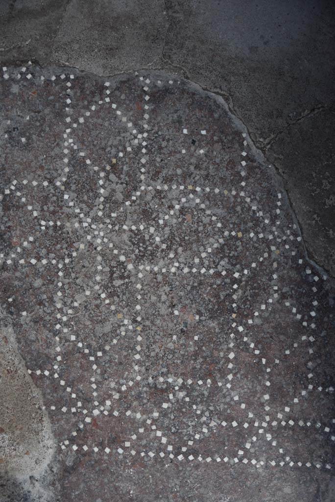 V.4.a Pompeii. March 2018. Room ‘g’, detail from flooring.
Foto Annette Haug, ERC Grant 681269 DÉCOR.

