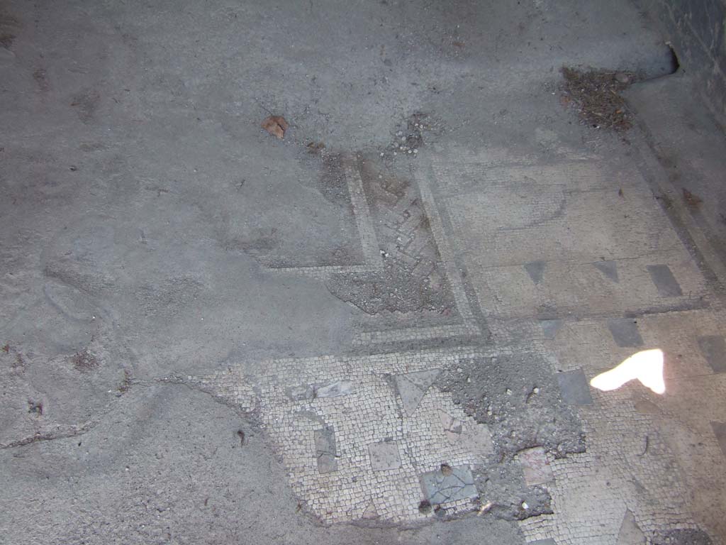 VI.2.14 Pompeii. September 2005. Mosaic floor in triclinium.