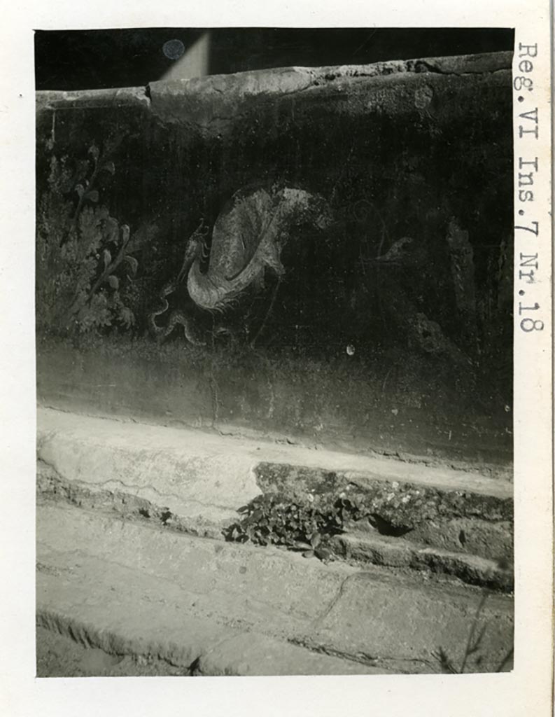 VI.7.18 Pompeii. Pre-1937-39. 
Detail from wall in east portico of peristyle, showing painted plants, serpent and heron.
Photo courtesy of American Academy in Rome, Photographic Archive. Warsher collection no. 1666.

