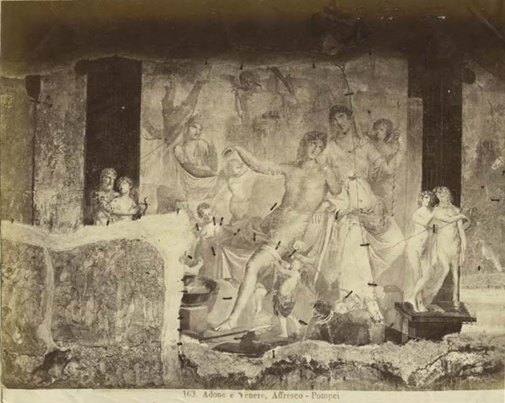 VI.7.18 Pompeii. 19th century photo of the large wall painting of Venus and Adonis in peristyle. Photo courtesy of Rick Bauer.