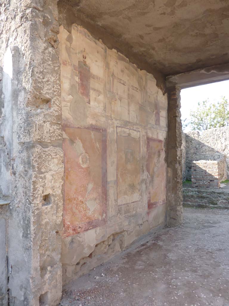 VI.7.23 Pompeii. South wall of tablinum, looking west. Photo courtesy of Davide Peluso.