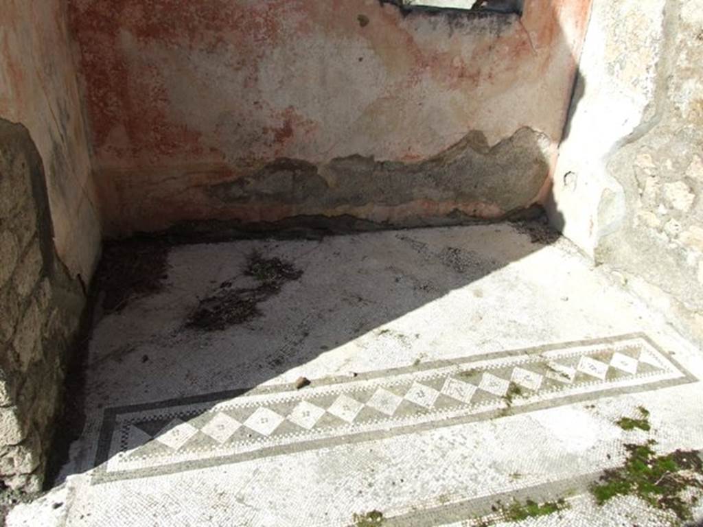 VI.8.20 Pompeii. March 2009.  Room 5.  North wall with painted plaster and floor mosaic.