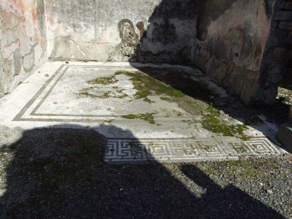 VI.8.20 Pompeii. March 2009. Room 6.  Mosaic floor.