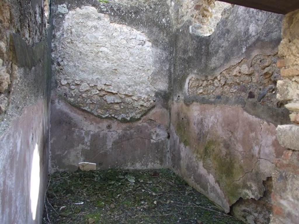 VI.8.20 Pompeii. March 2009.  Room 15. South wall.