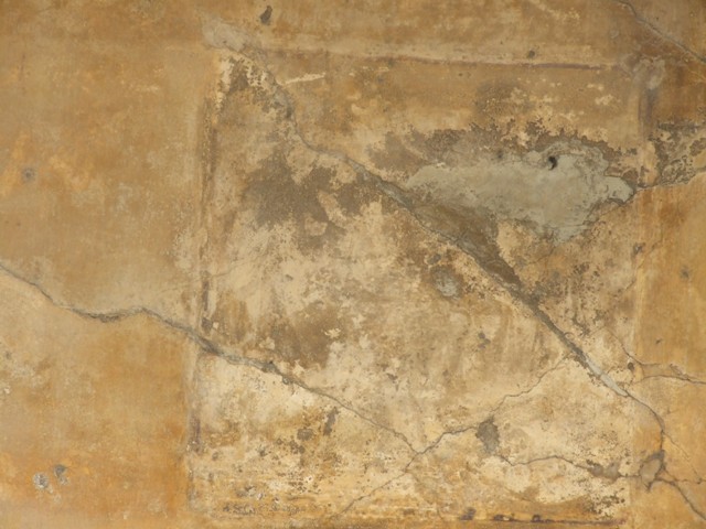 230666 Bestand-D-DAI-ROM-W.1528.jpg
VI.9.2 Pompeii. W.1528. Room 24, east wall.
Photo by Tatiana Warscher. With kind permission of DAI Rome, whose copyright it remains. 
See http://arachne.uni-koeln.de/item/marbilderbestand/230666 
