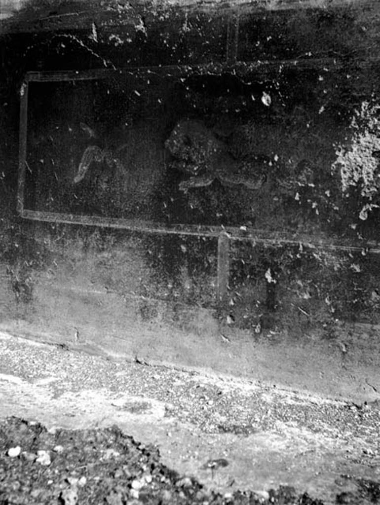 231750 Bestand-D-DAI-ROM-W.612.jpg
VI.9.2 Pompeii. W.612. Peristyle 16, remains of wall painting from dado on east wall.
Photo by Tatiana Warscher. With kind permission of DAI Rome, whose copyright it remains. 
See http://arachne.uni-koeln.de/item/marbilderbestand/231750 
