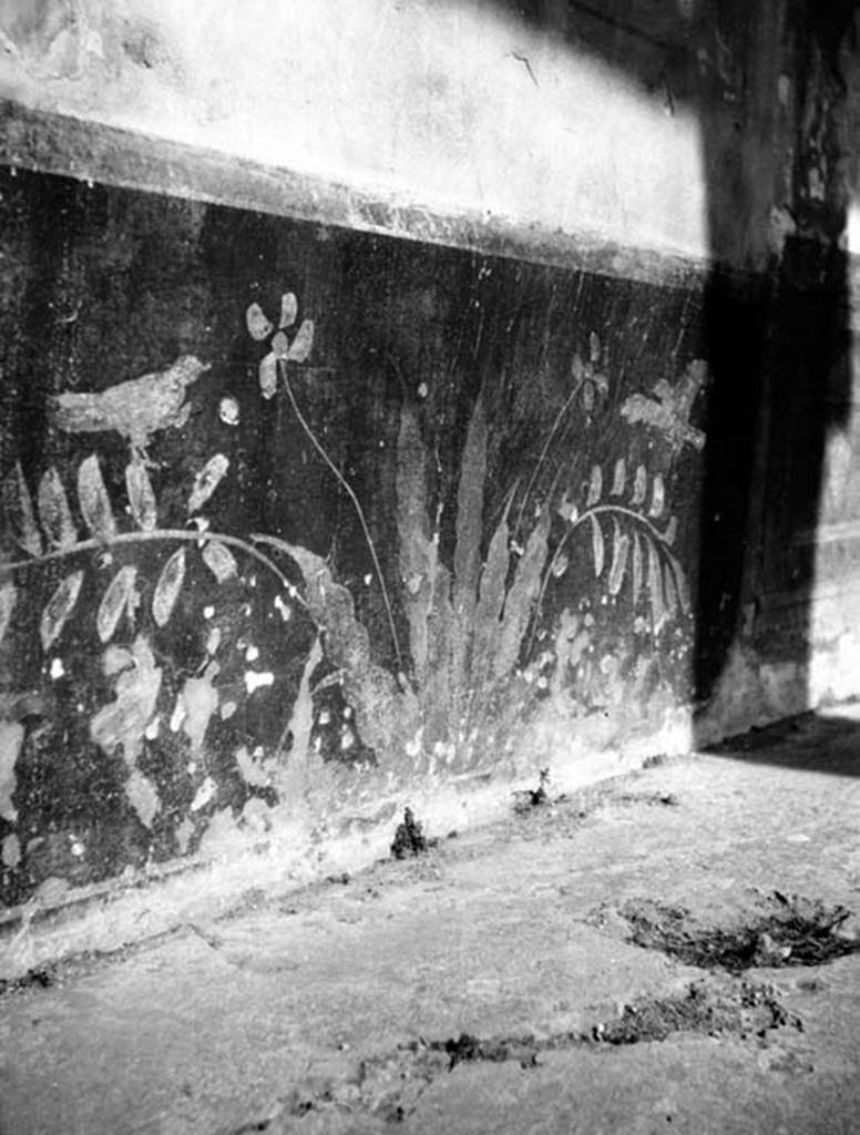 231008 Bestand-D-DAI-ROM-W.566.jpg
VI.9.2 Pompeii. W.566. Peristyle 16, dado from north wall.
Photo by Tatiana Warscher. With kind permission of DAI Rome, whose copyright it remains. 
See http://arachne.uni-koeln.de/item/marbilderbestand/231008 
