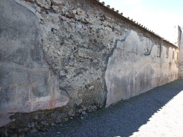 231744 Bestand-D-DAI-ROM-W.553.jpg
VI.9.2 Pompeii. W.553. Peristyle 16, remains of wall painting from west wall.
Photo by Tatiana Warscher. With kind permission of DAI Rome, whose copyright it remains. 
See http://arachne.uni-koeln.de/item/marbilderbestand/231744 
